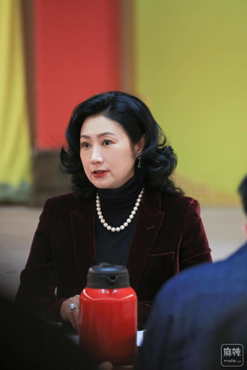 ���������Σ����硶����Ʈ��ˮ����������¥֮�����������Ѳ��