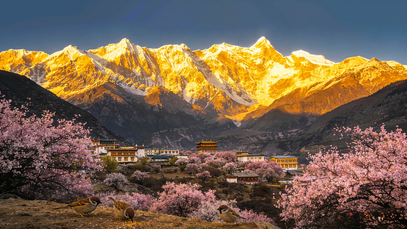 1775299429436 ����.jpg