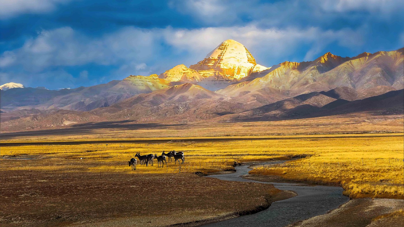 _P2A8668-CR2_DxO_DeepPRIMEXD ����.jpg