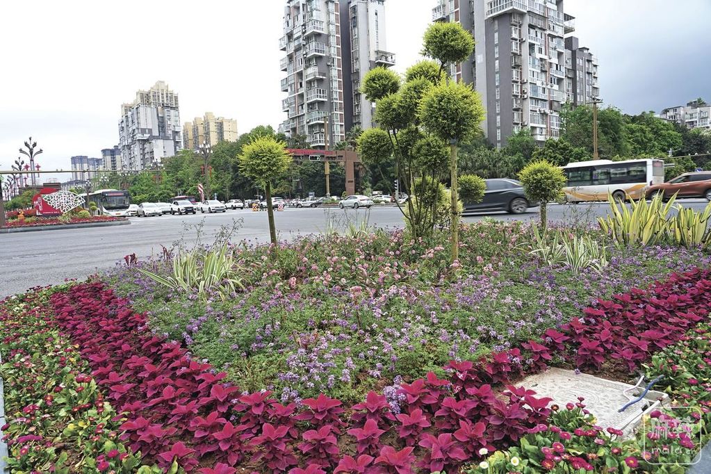 5dfe7cf0-ffa4-4561-9b13-8169a8a06395.tif.2