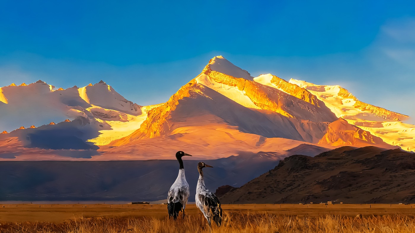 1775478057906 ����.jpg