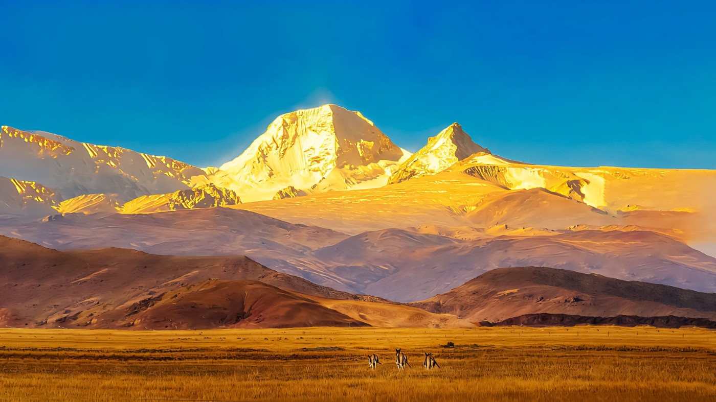 1775483582632 ����.jpg