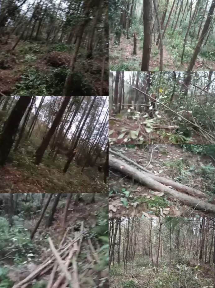 �����ֳ�ͼƬ