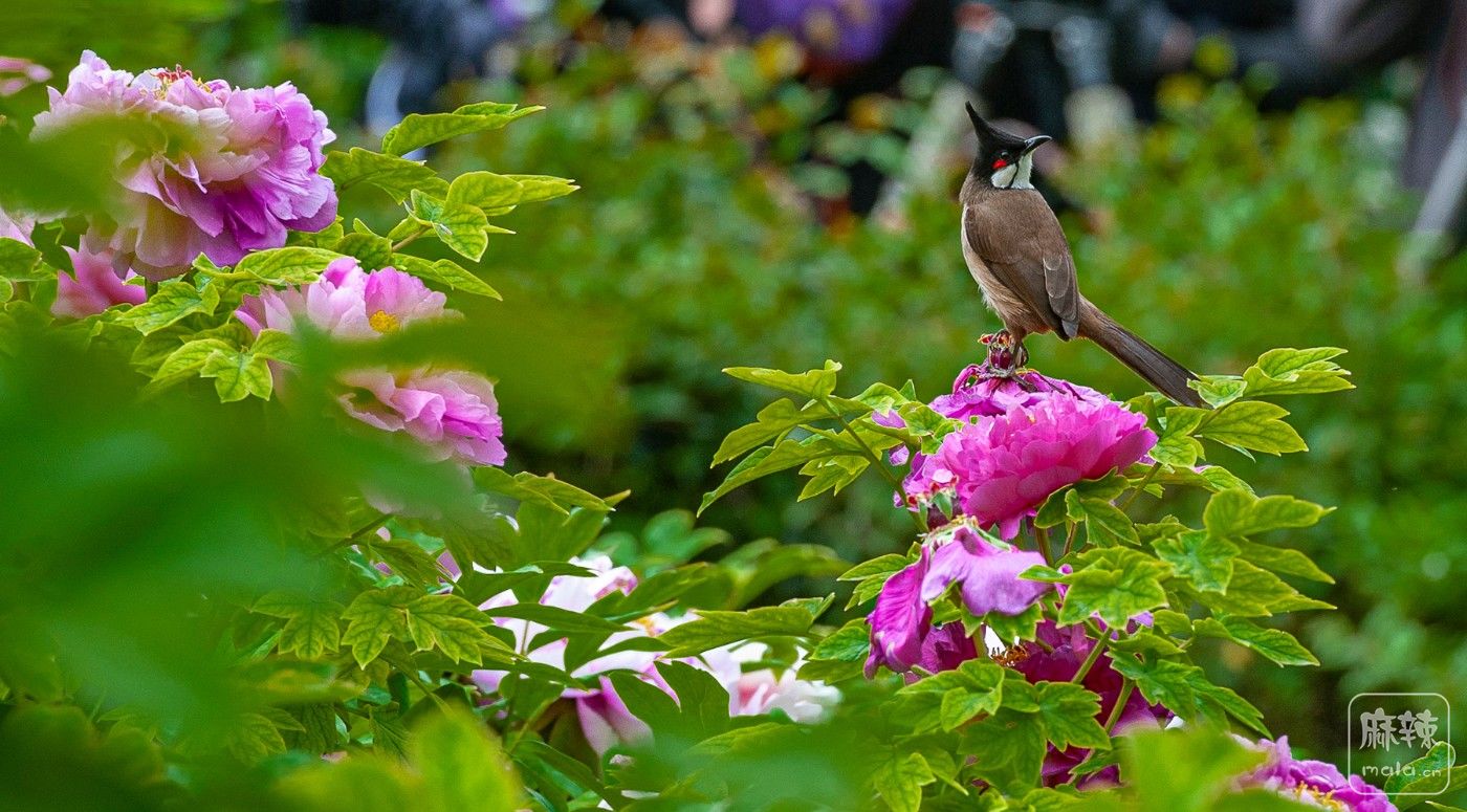 ����ĵ����  ������Է��