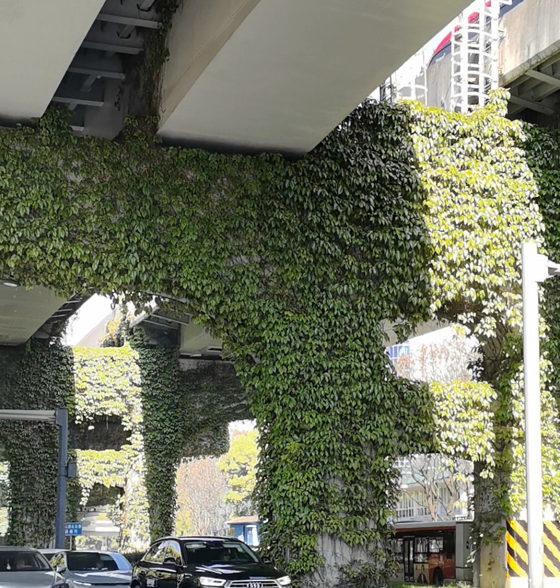 �ɶ��˵ġ��������̻�����ˢ���ˣ�����·�߼�ţ�Ų����Σ�