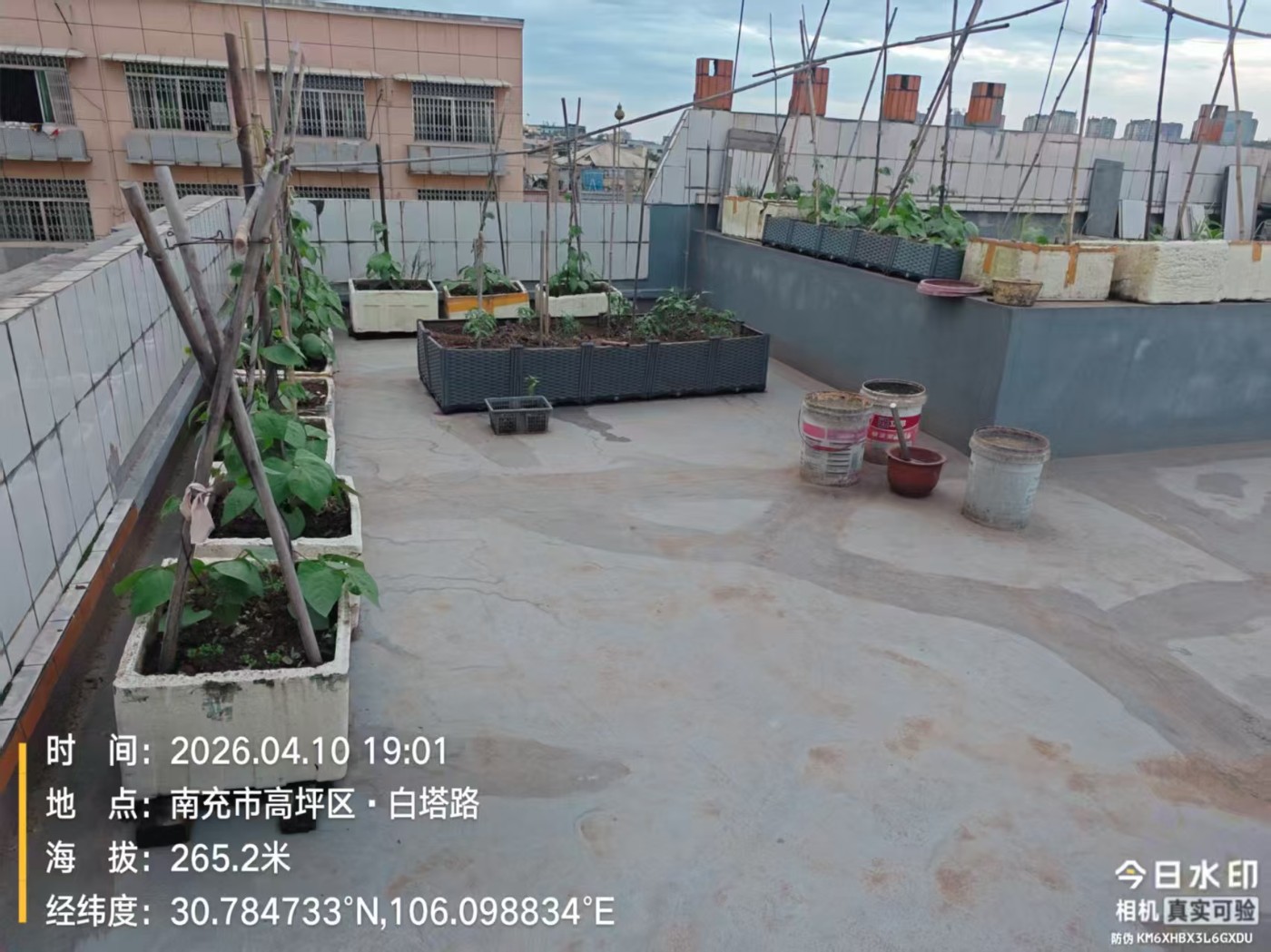 ���Ư��������¥��������ȫ�����ģ��ǹܲ����ܿ�����