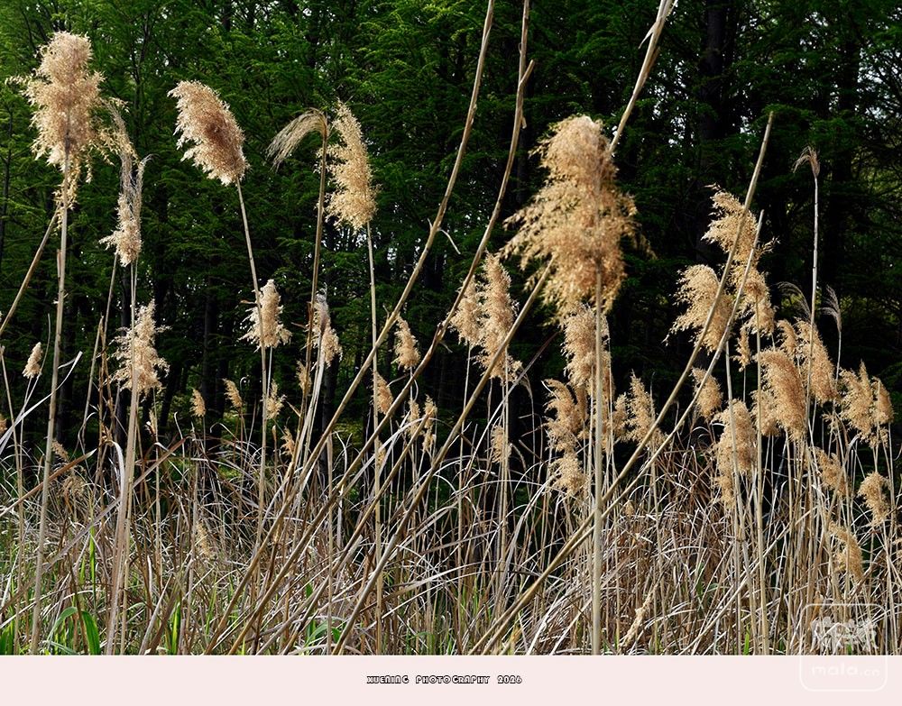 _DSC6779 ����.jpg