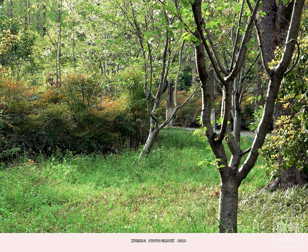 _DSC6782 ����.jpg