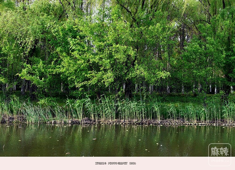 _DSC6795 ����.jpg