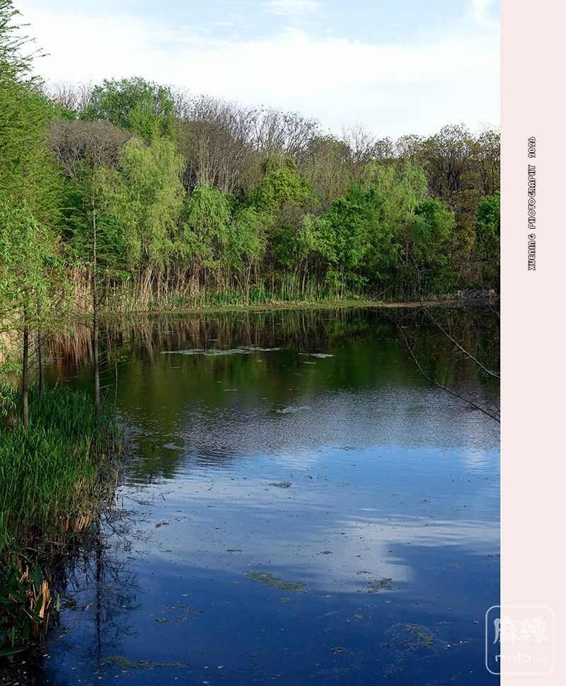 _DSC6809 ����.jpg