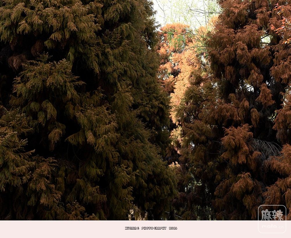 _DSC6785 ����.jpg