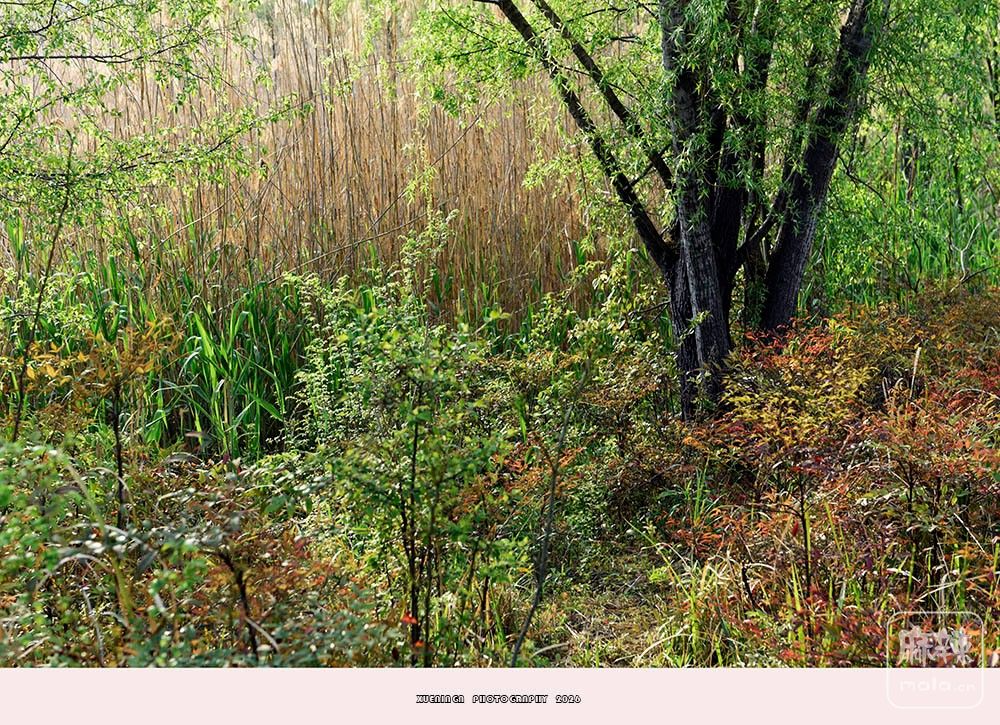 _DSC6806 ����.jpg