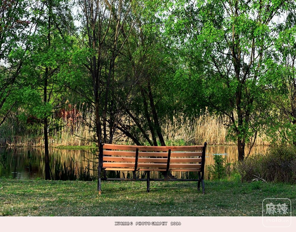 _DSC6823 ����.jpg