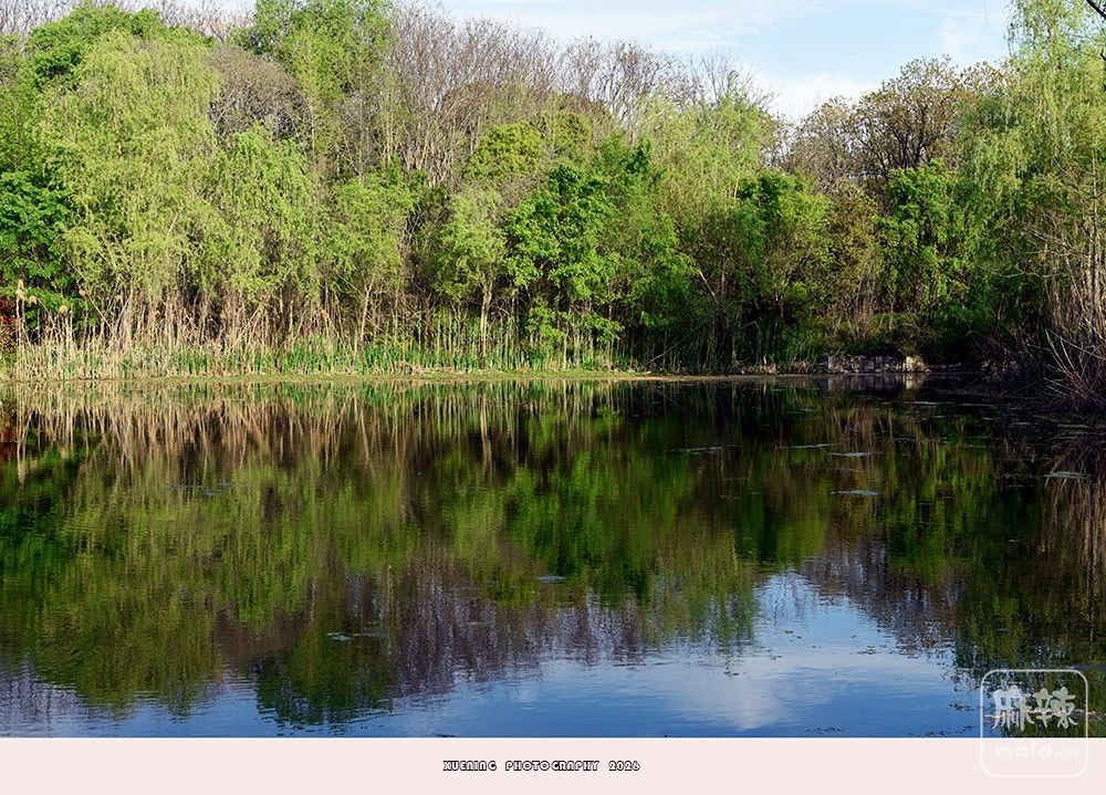 _DSC6817 ����.jpg