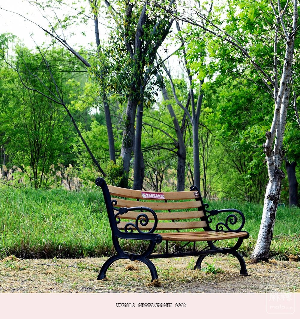 _DSC6804 ����.jpg