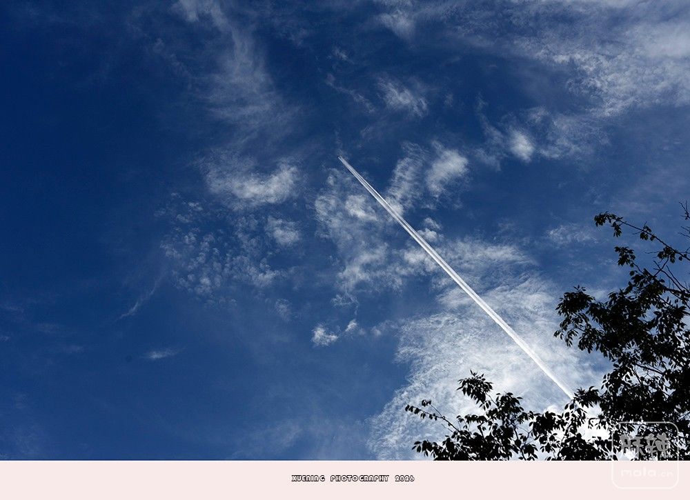 _DSC6836 ����.jpg