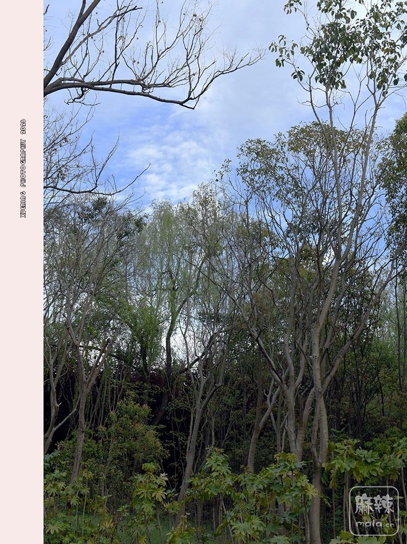 _DSC6854 ����.jpg