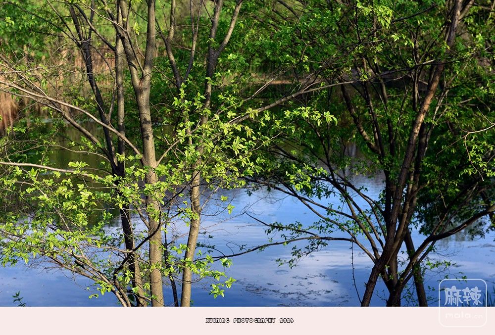 _DSC6810 ����.jpg