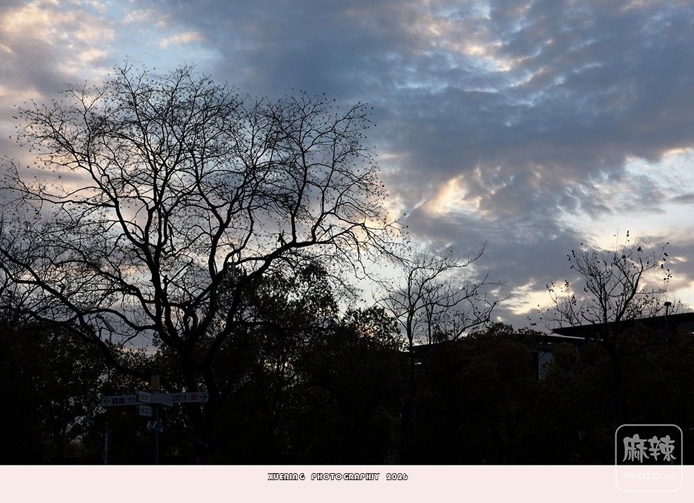 _DSC6870 ����.jpg