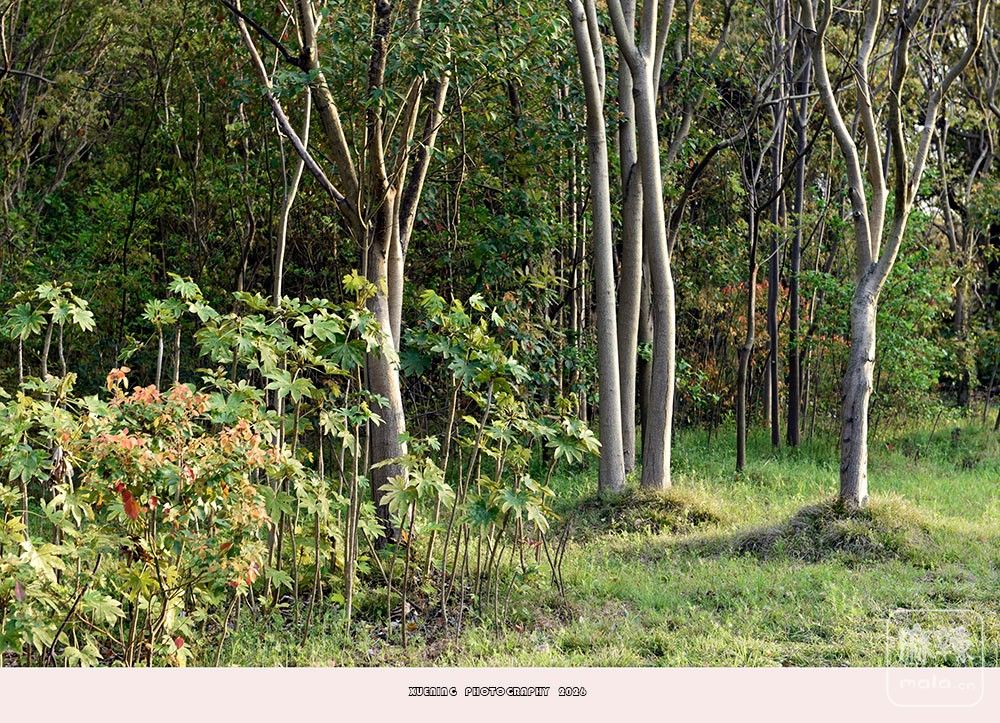 _DSC6856 ����.jpg