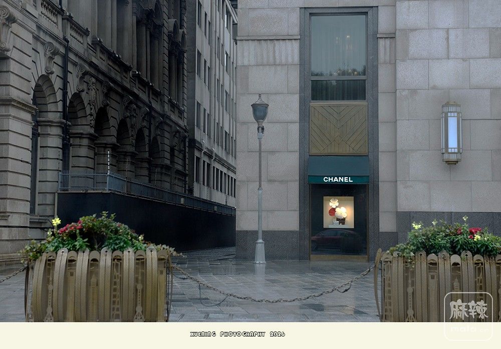 _DSC2935 ����.jpg