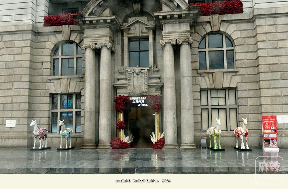 _DSC2937 ����.jpg