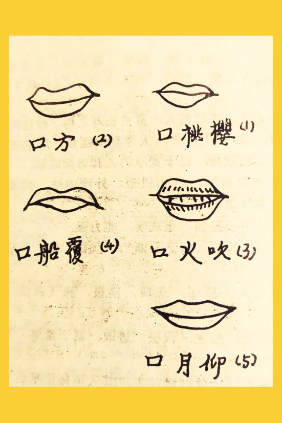 ��������