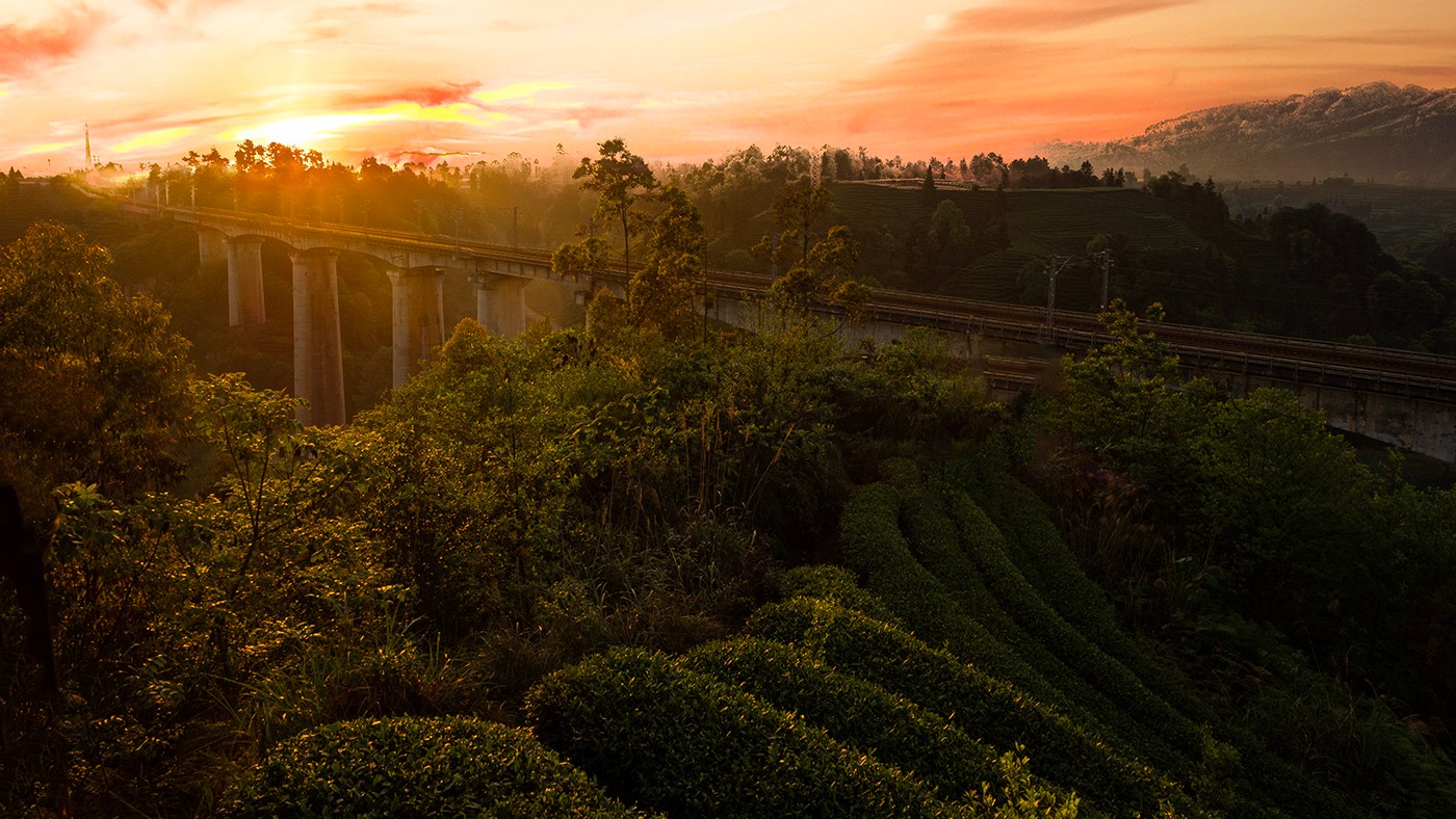 P4090485 ����a.jpg