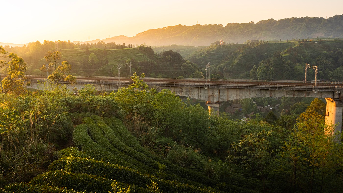 P4090483 ����a.jpg