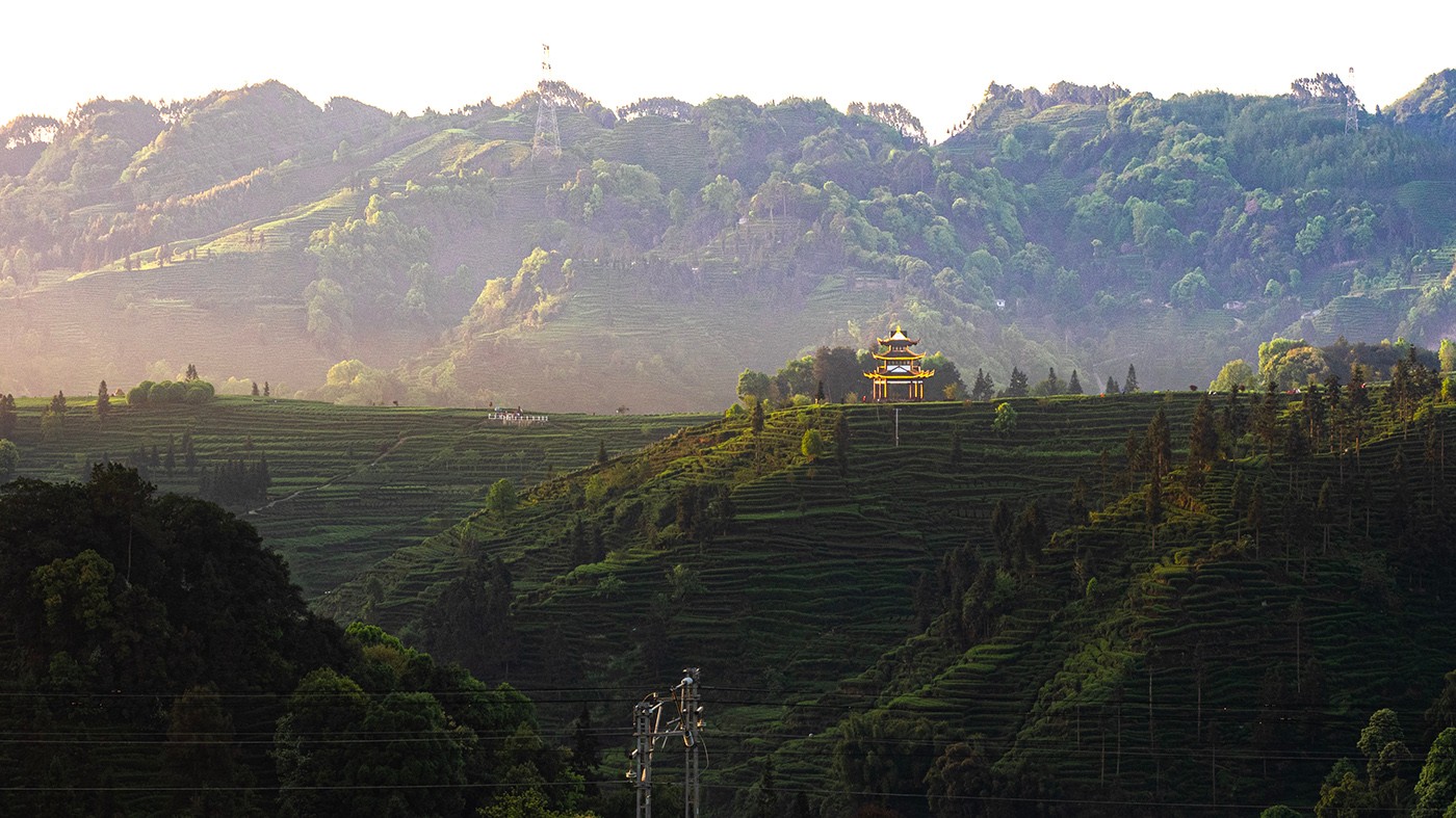 P4090489 ����a.jpg