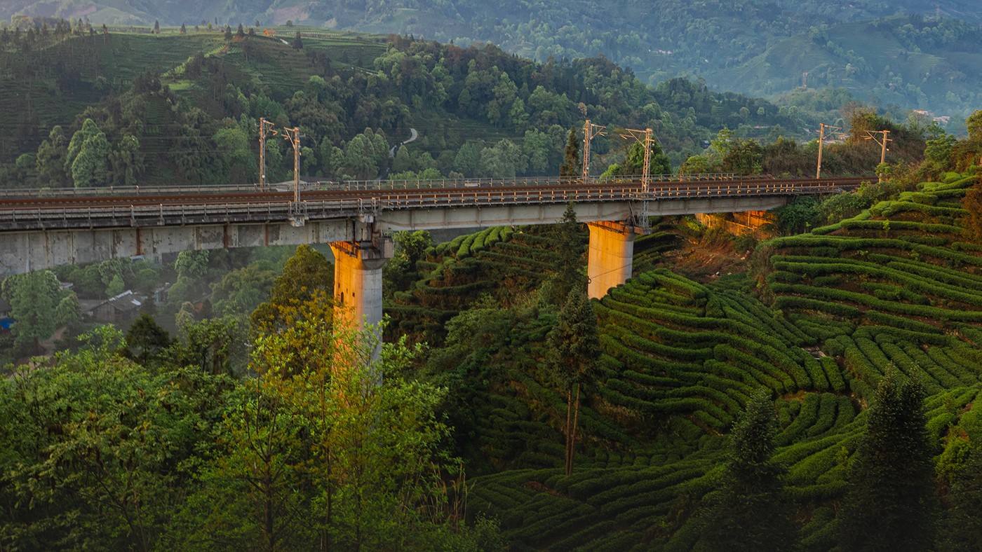 P4090479 ����a.jpg