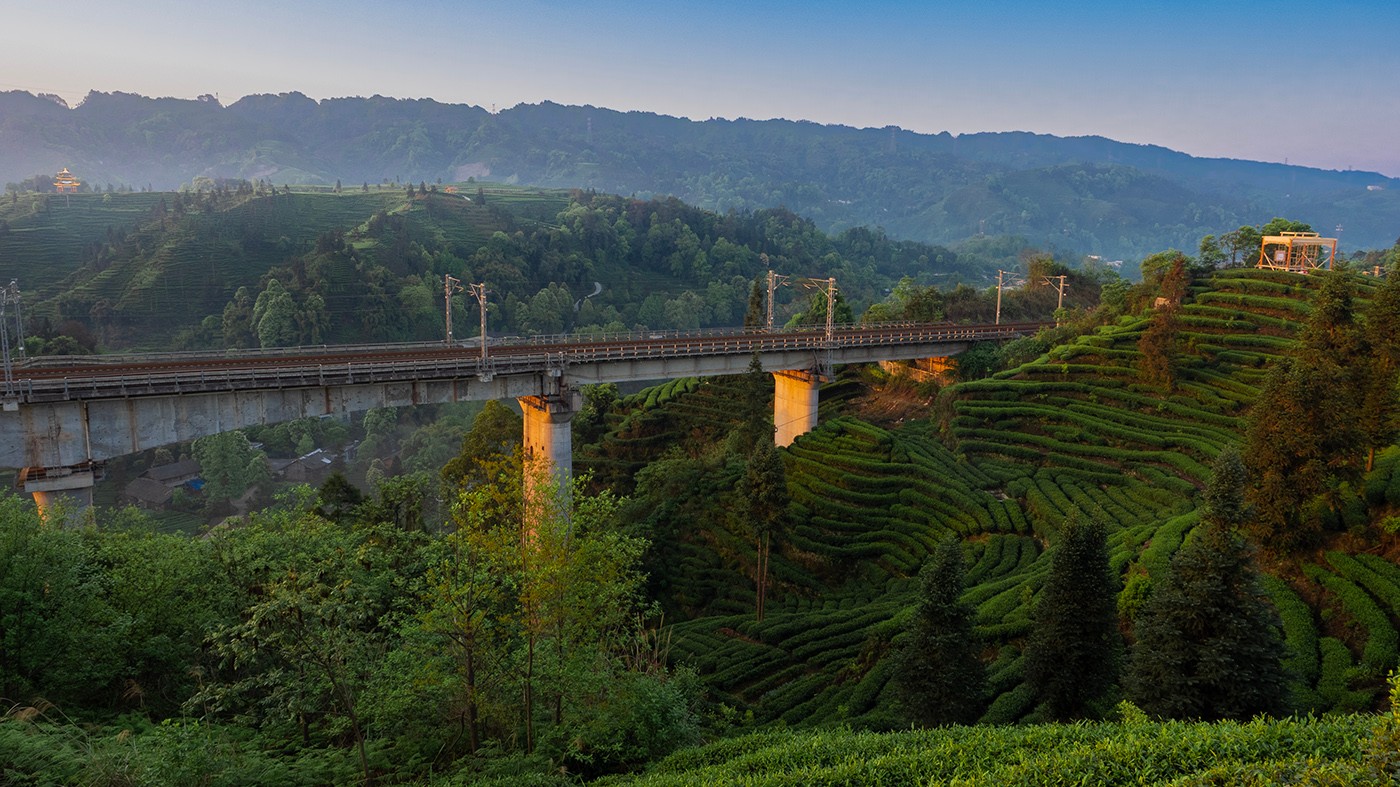 P4090480 ����a.jpg