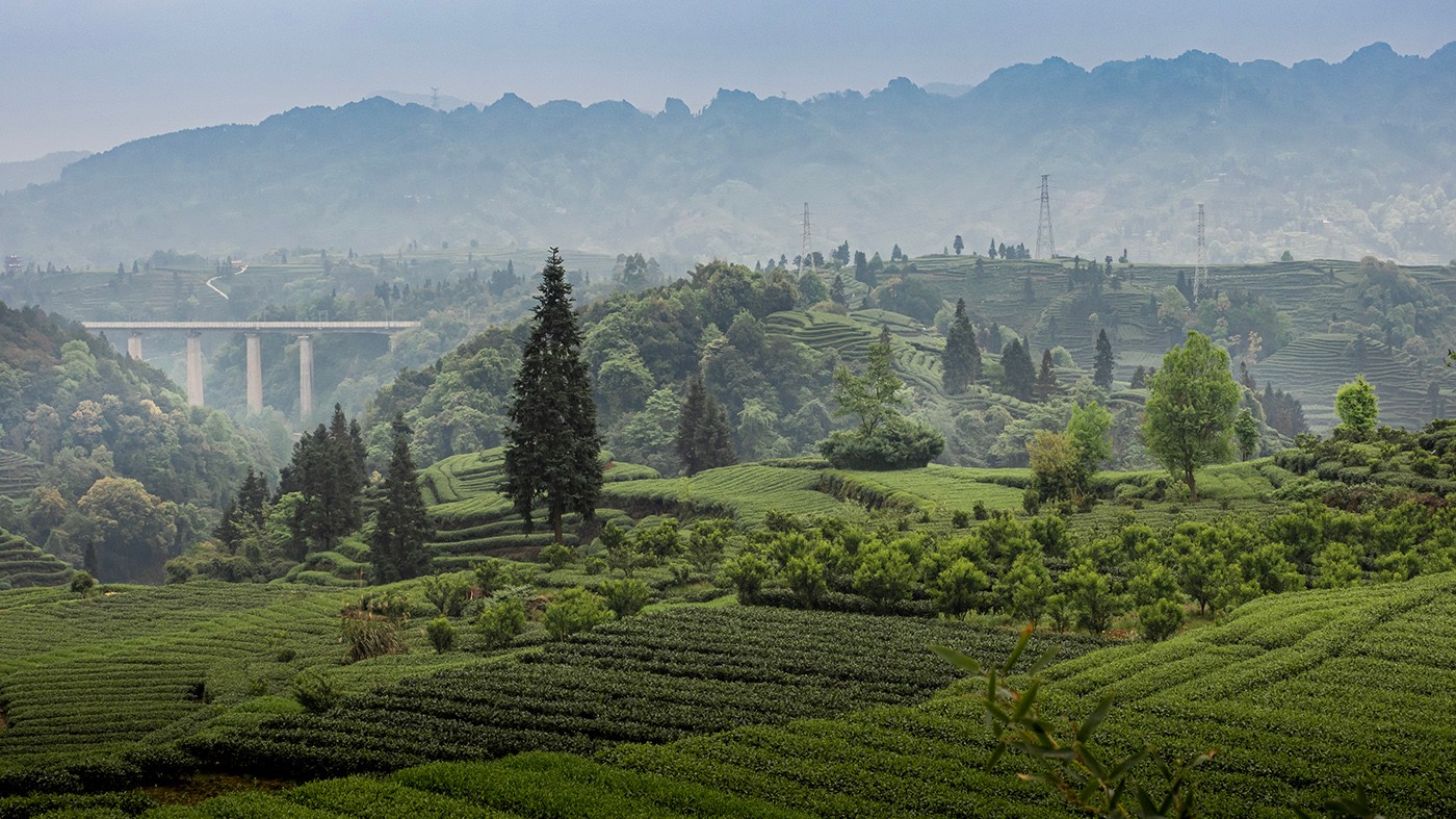 P4080471 ����a.jpg