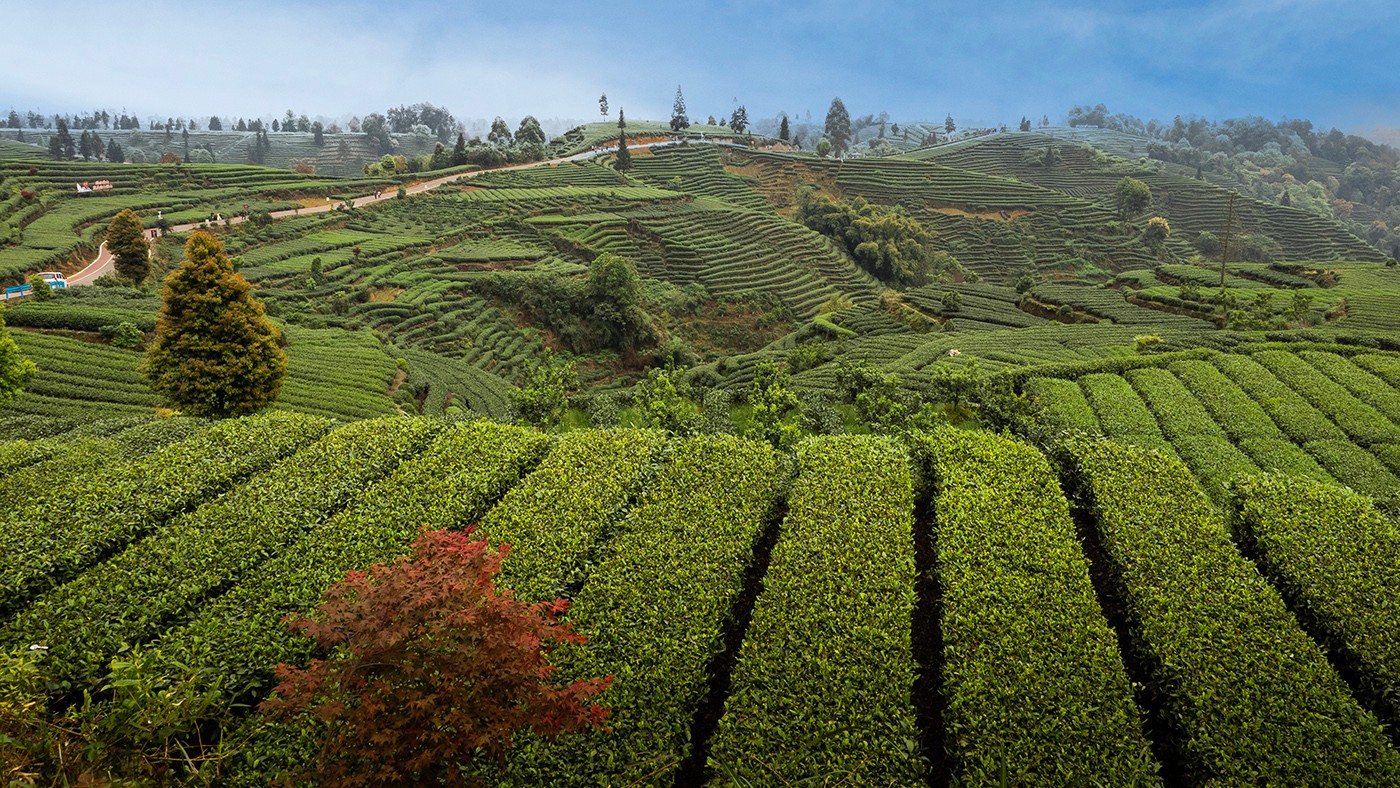 P4080468 ����a.jpg