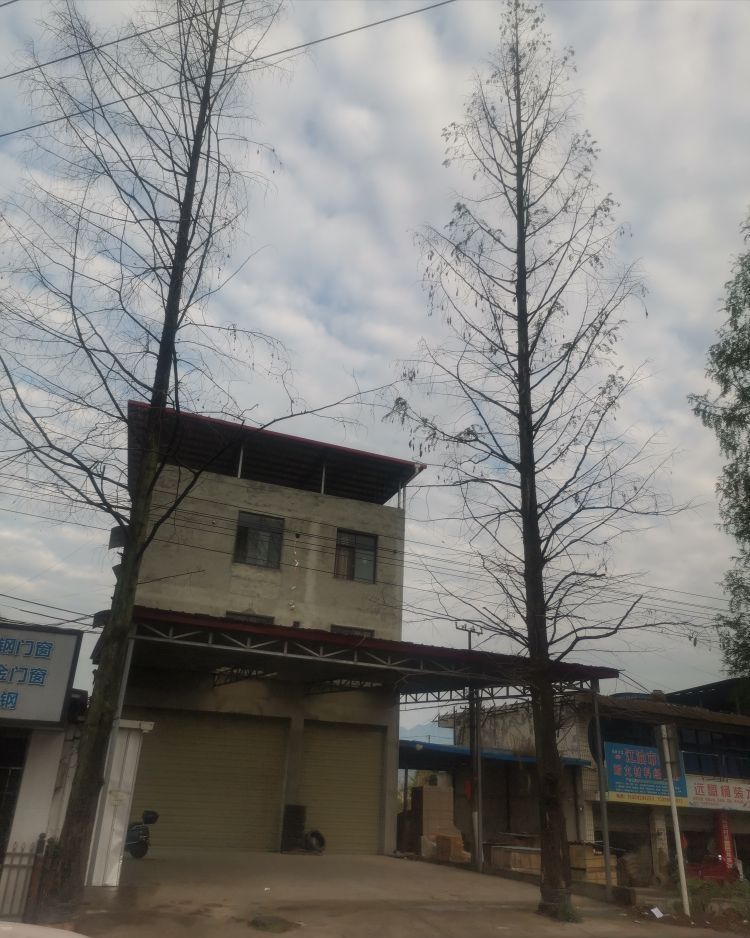 ����¼���վ��������������������