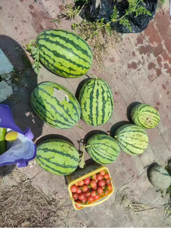 �½� DOCX �ĵ�1217.png