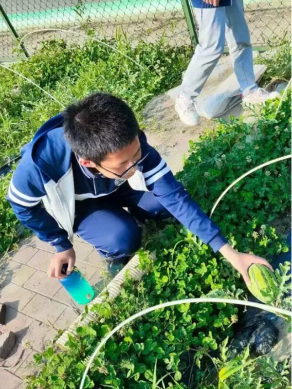 �½� DOCX �ĵ�1216.png