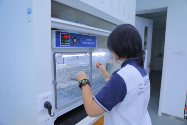 �½� DOCX �ĵ�664.png