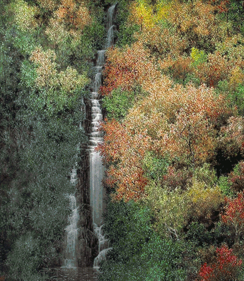 6 ���ͻ������й���.gif