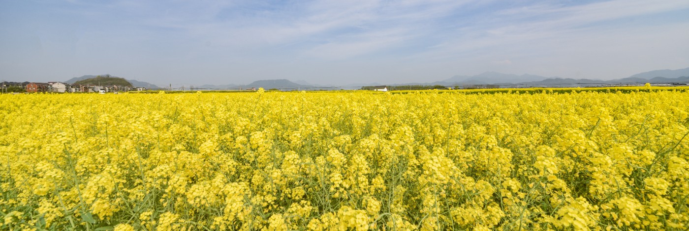 ���Ƿɲ������������� ��ԭ����һֻ̰���ĺ�����63��