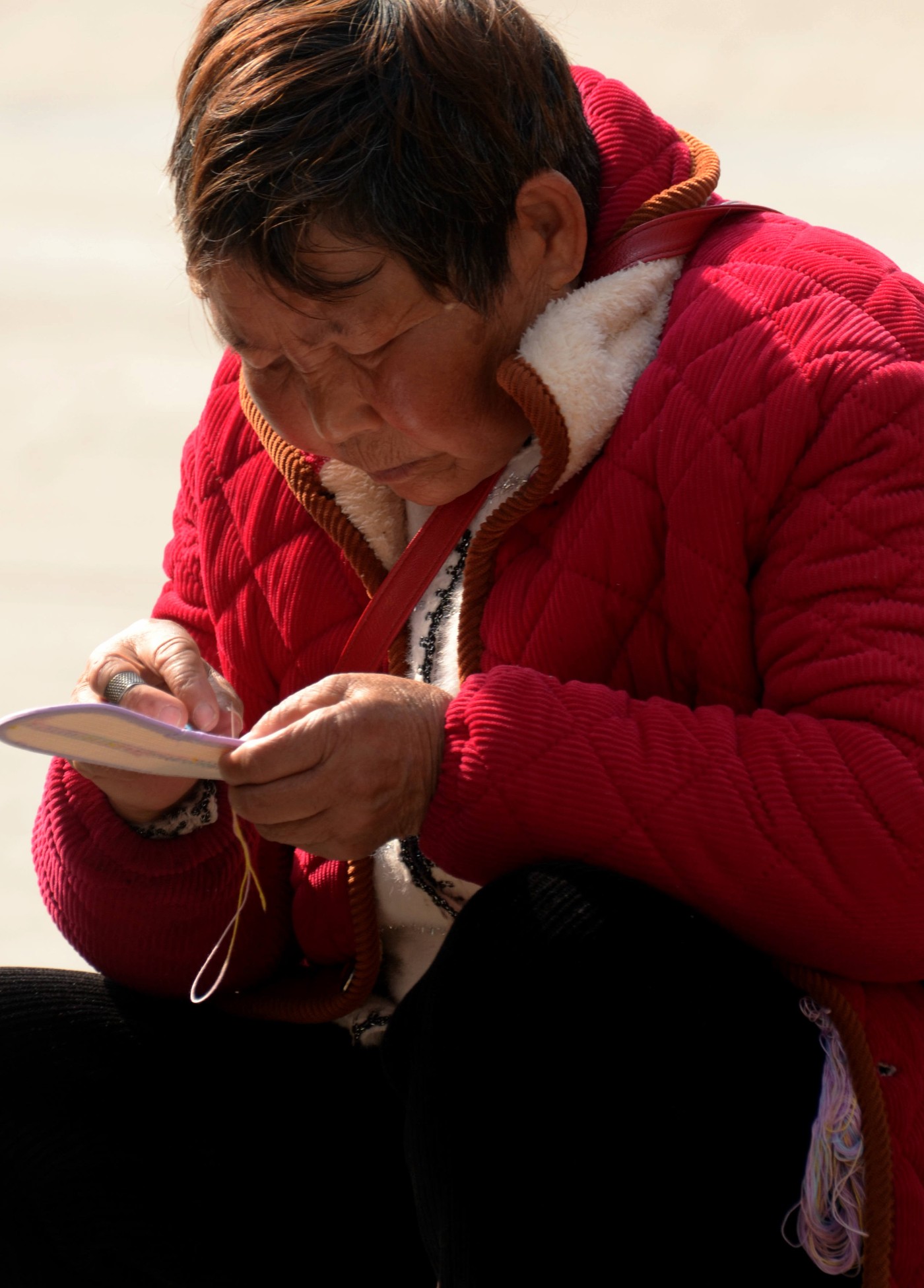 DSC_3740 - ����.JPG