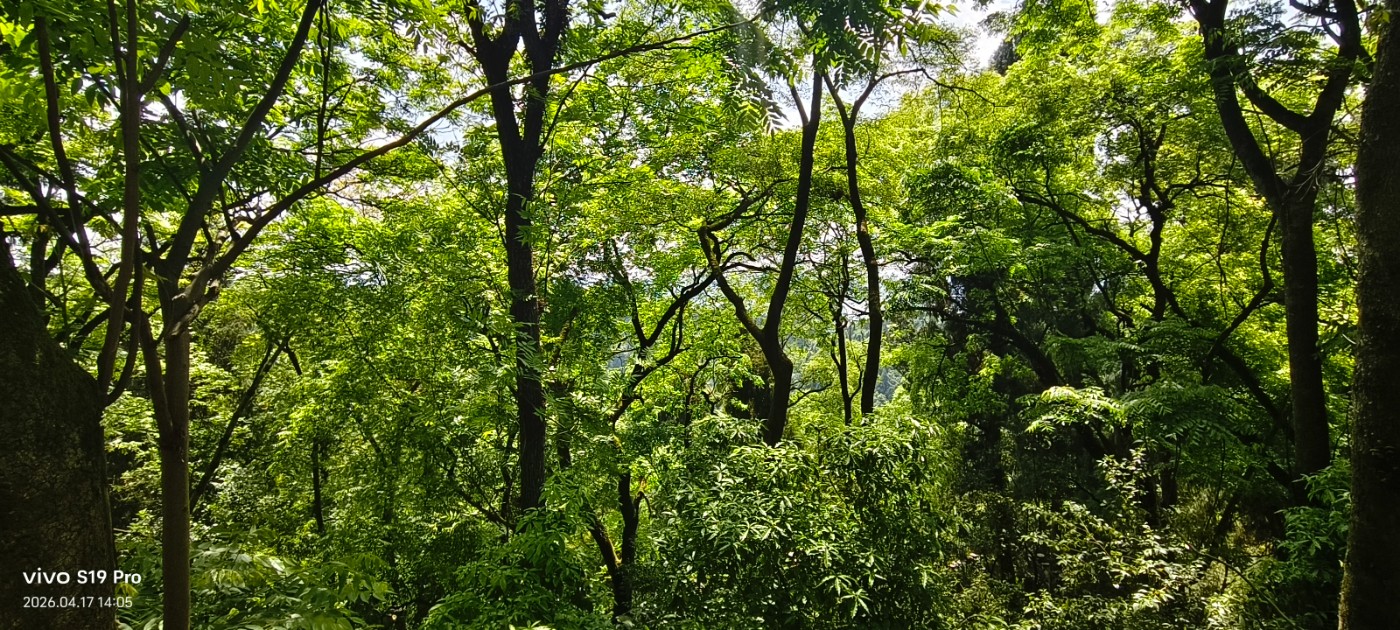 ΢��ͼƬ_20260418032222.jpg