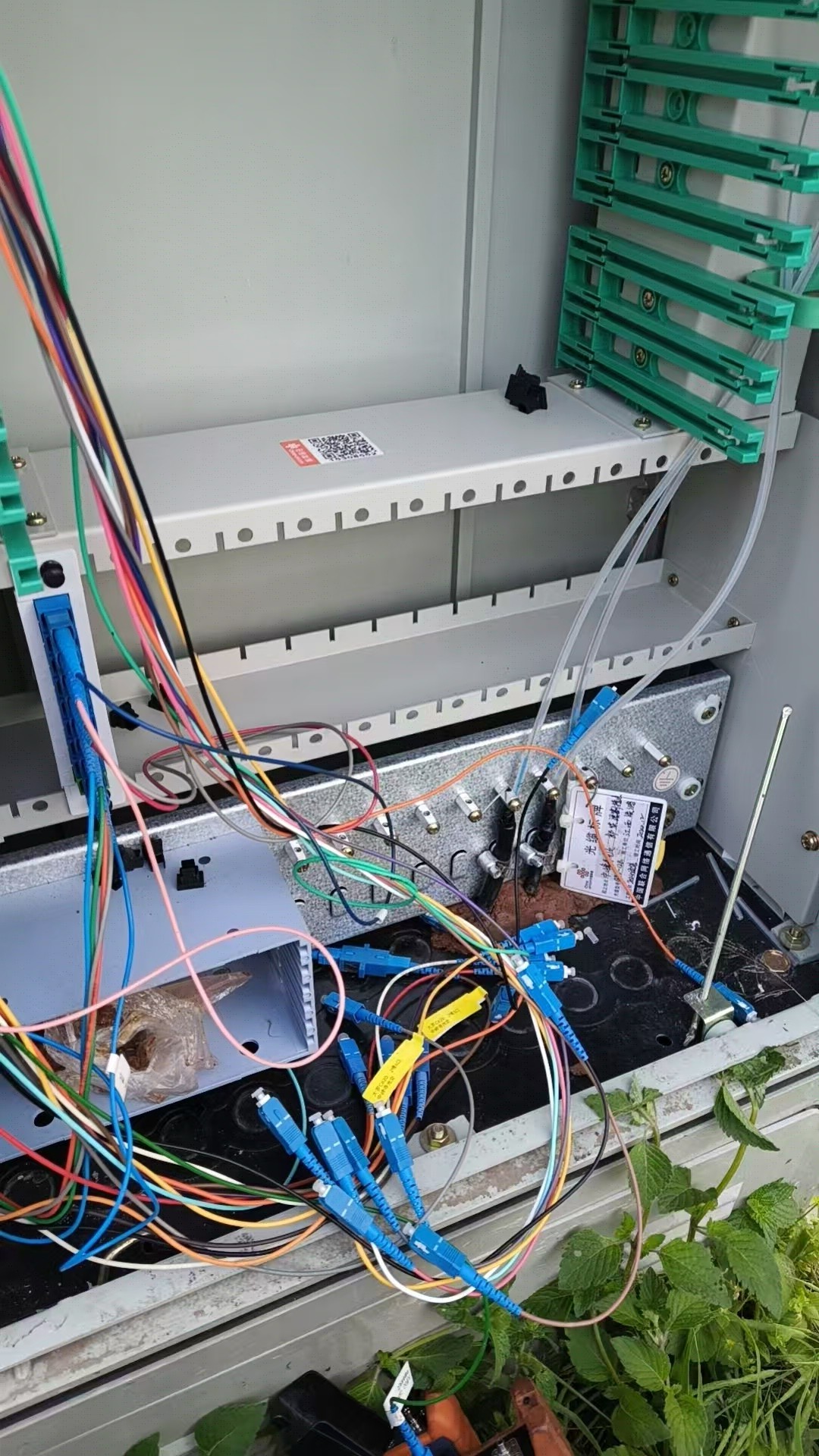 ���������޶��ɴ�