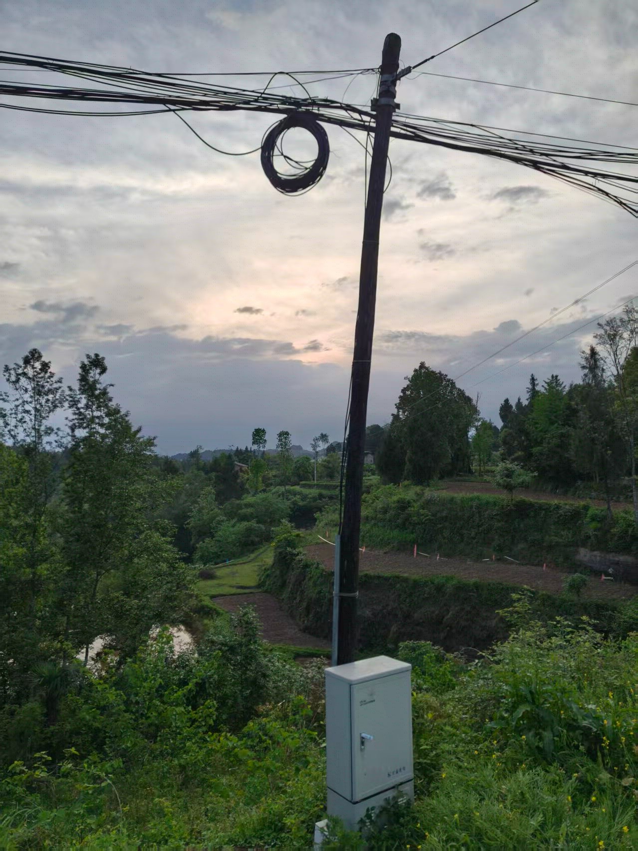 ����    ��