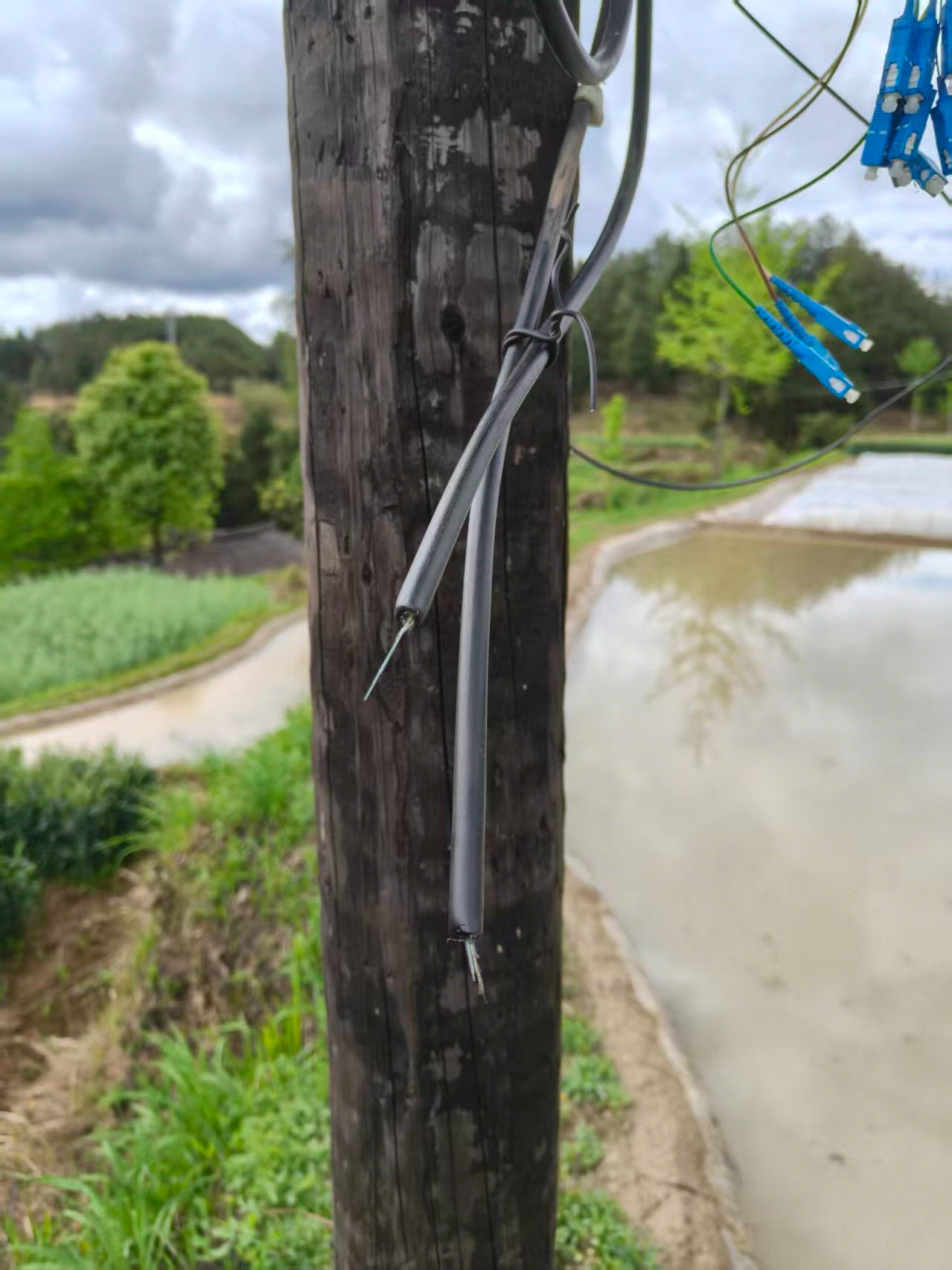 ����    ��