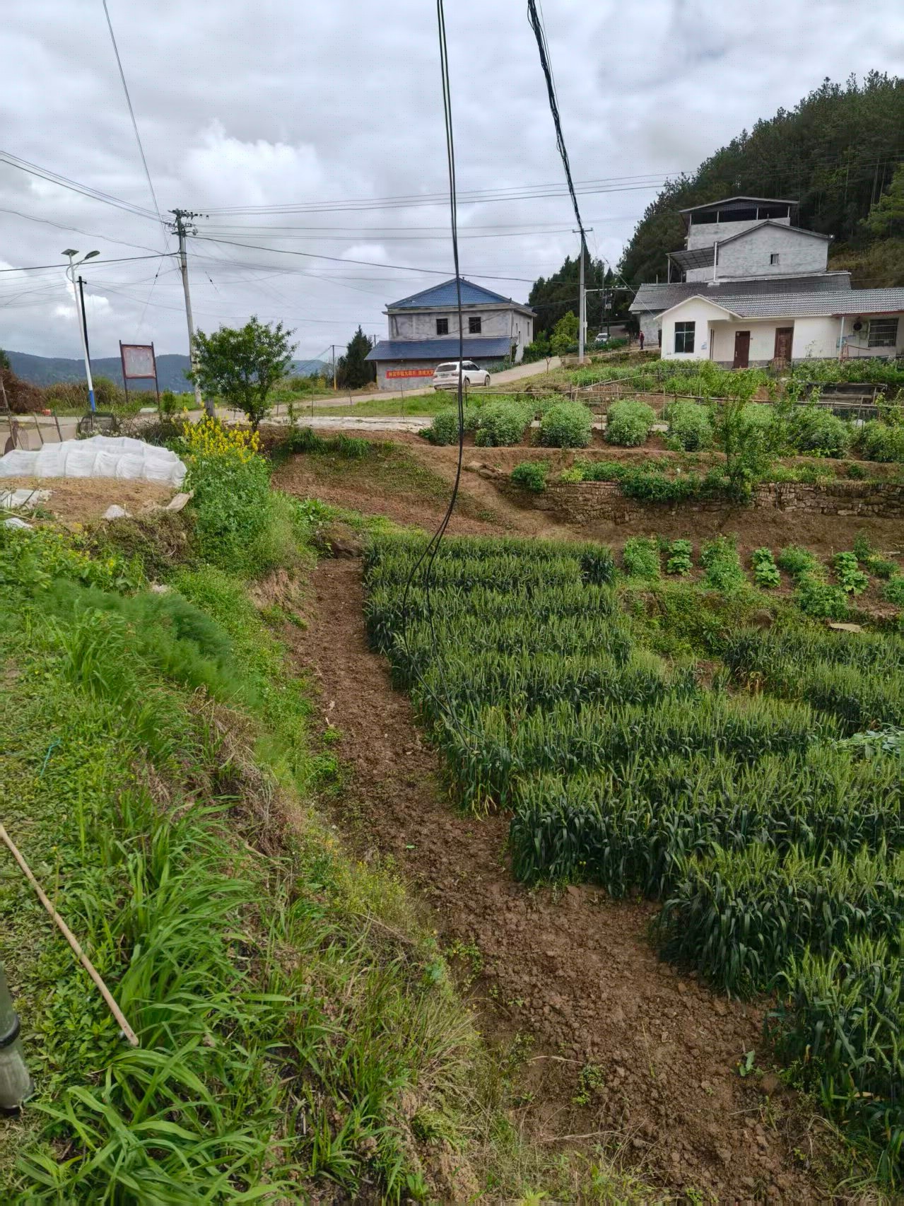 ����   ��