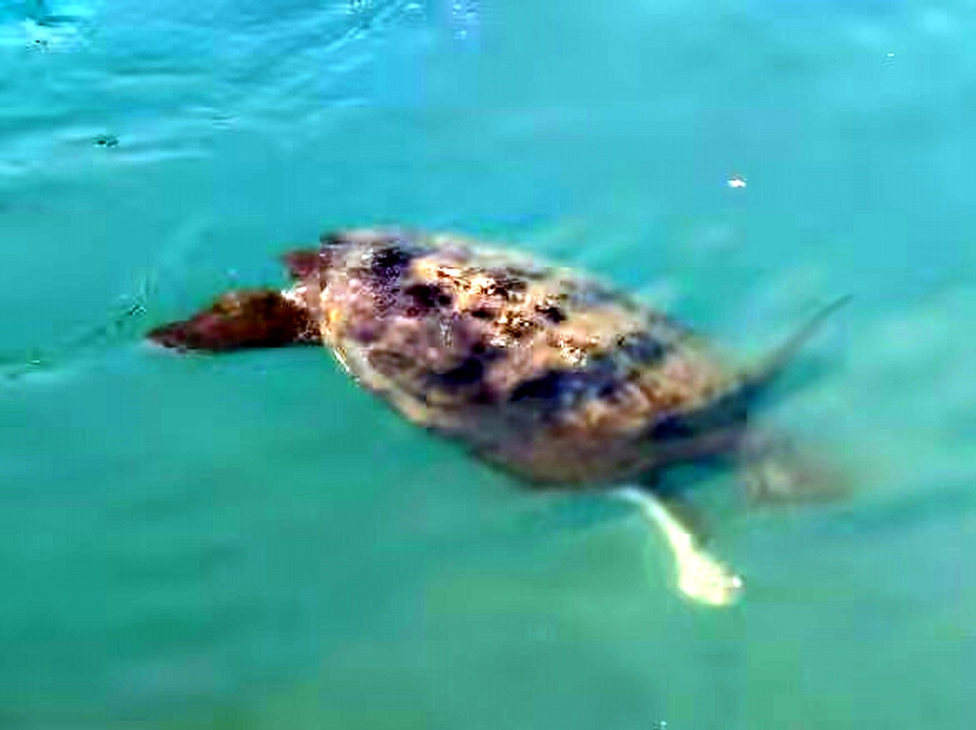 ������С psc (25).jpg