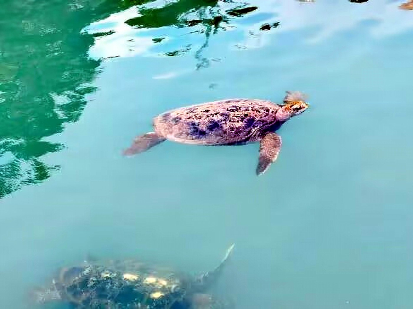 ������С psc (14).jpg