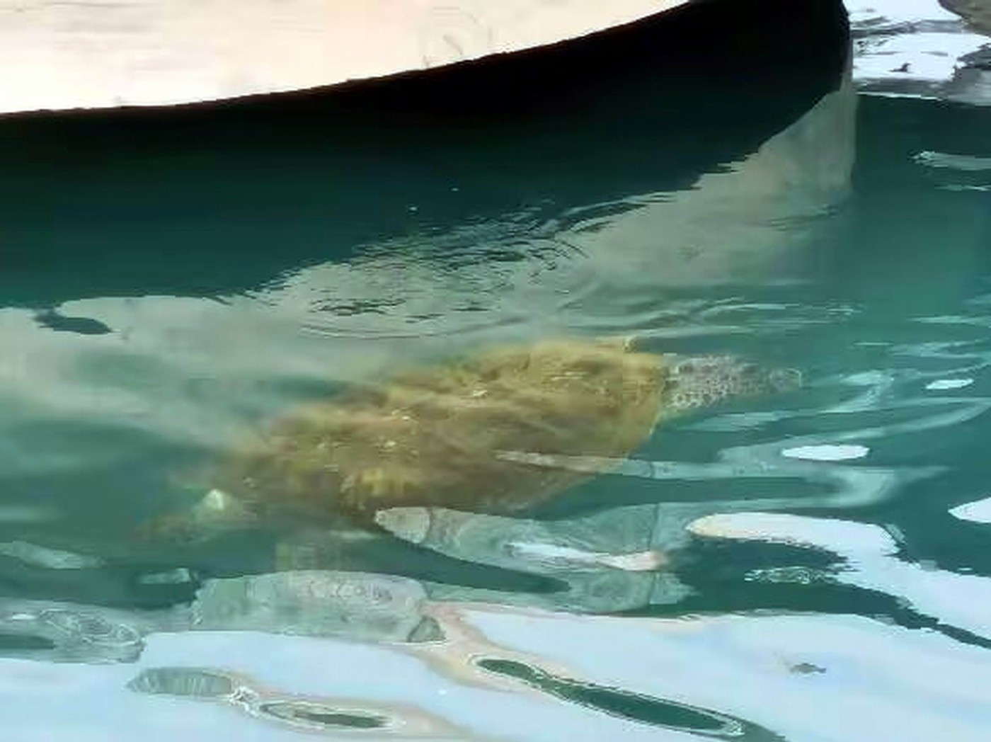 ������С psc (32).jpg