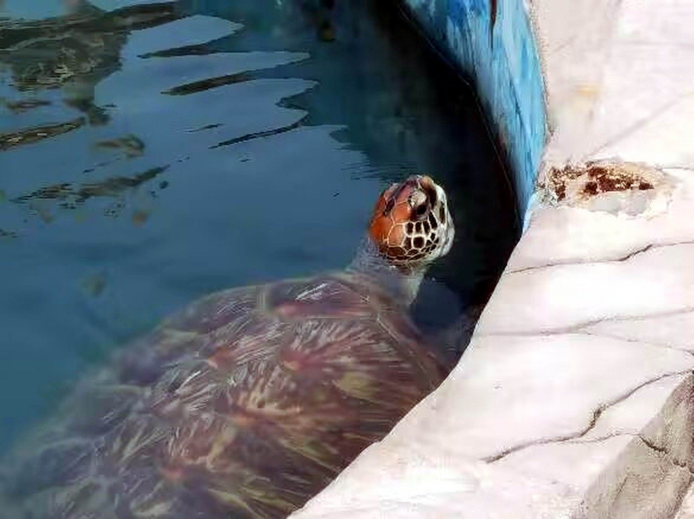 ������С psc (31).jpg